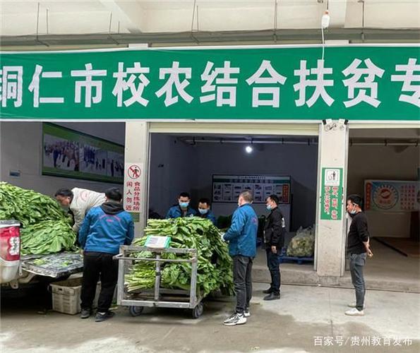 一码贵州校农结合可以手机填报数据吗? 一码贵州校农结合可以手机填报数据吗?