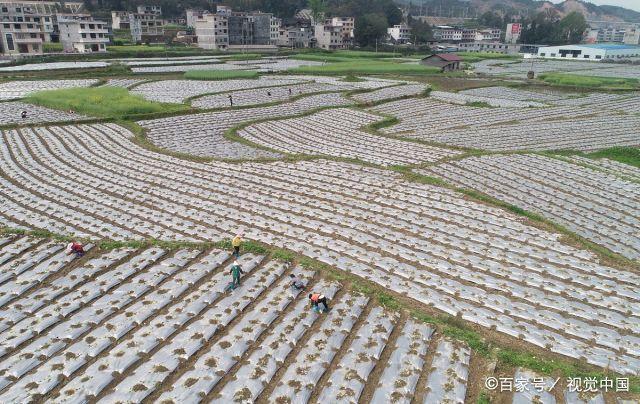 一码贵州校农结合可以手机填报数据吗? 一码贵州校农结合可以手机填报数据吗?