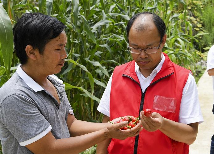 “扶智”、“扶志”上振兴人才