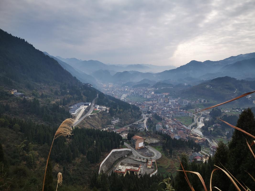 大专能进乡镇卫生院吗 大专能进乡镇卫生院吗