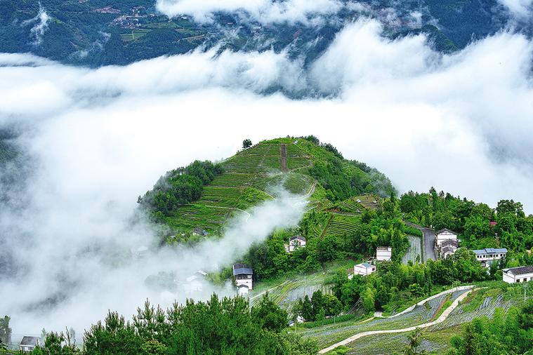 大专能进乡镇卫生院吗 大专能进乡镇卫生院吗