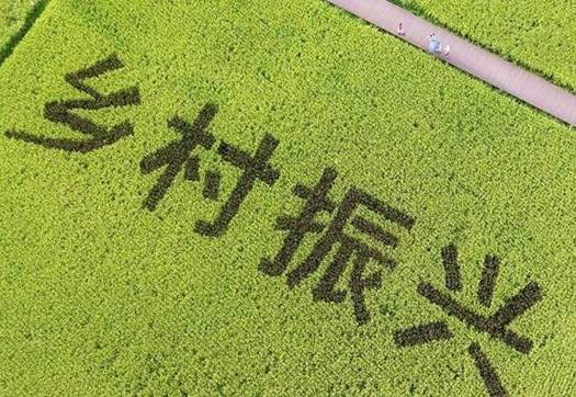 金职大讲堂第126讲丨“双高”项目建设的探索与实践之路——以黑龙江农...