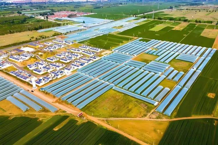 乡村振兴的工作思路和计划