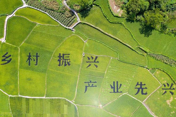 产业四个一批分别是什么